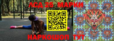 тгк Камышлов