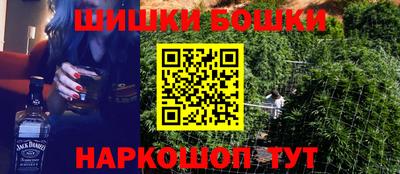 тгк Камышлов