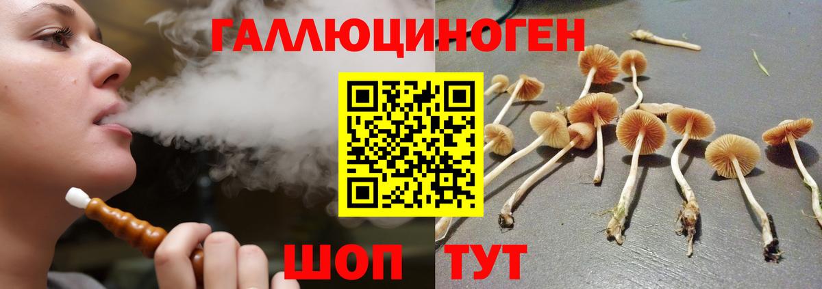 Псилоцибиновые грибы Cubensis  Вход с VPN  Галлюциногенные грибы мицелий  Ленинск-Кузнецкий 